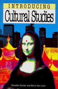introducing Cultural Studies