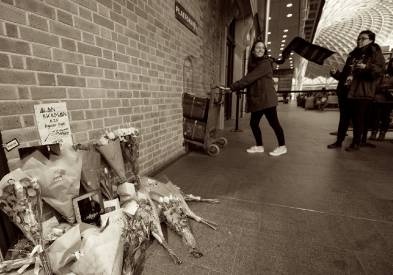 Rickman Snape tribute