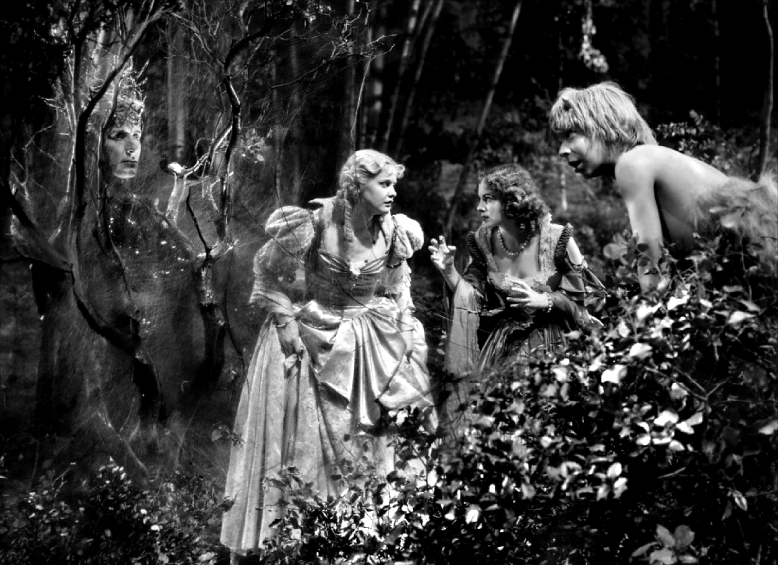 A Midsummer Nights Dream 7