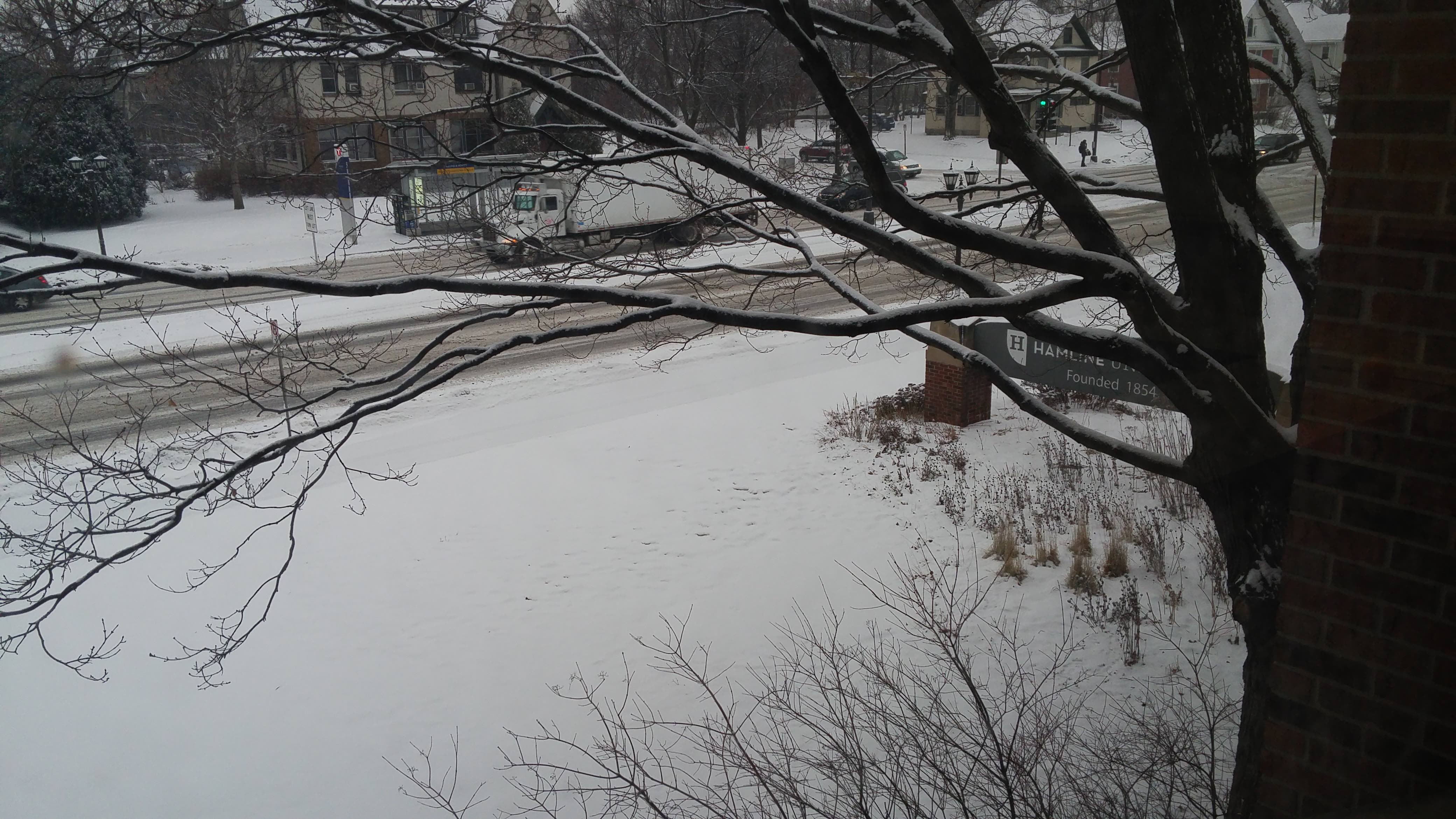 hamline-snow