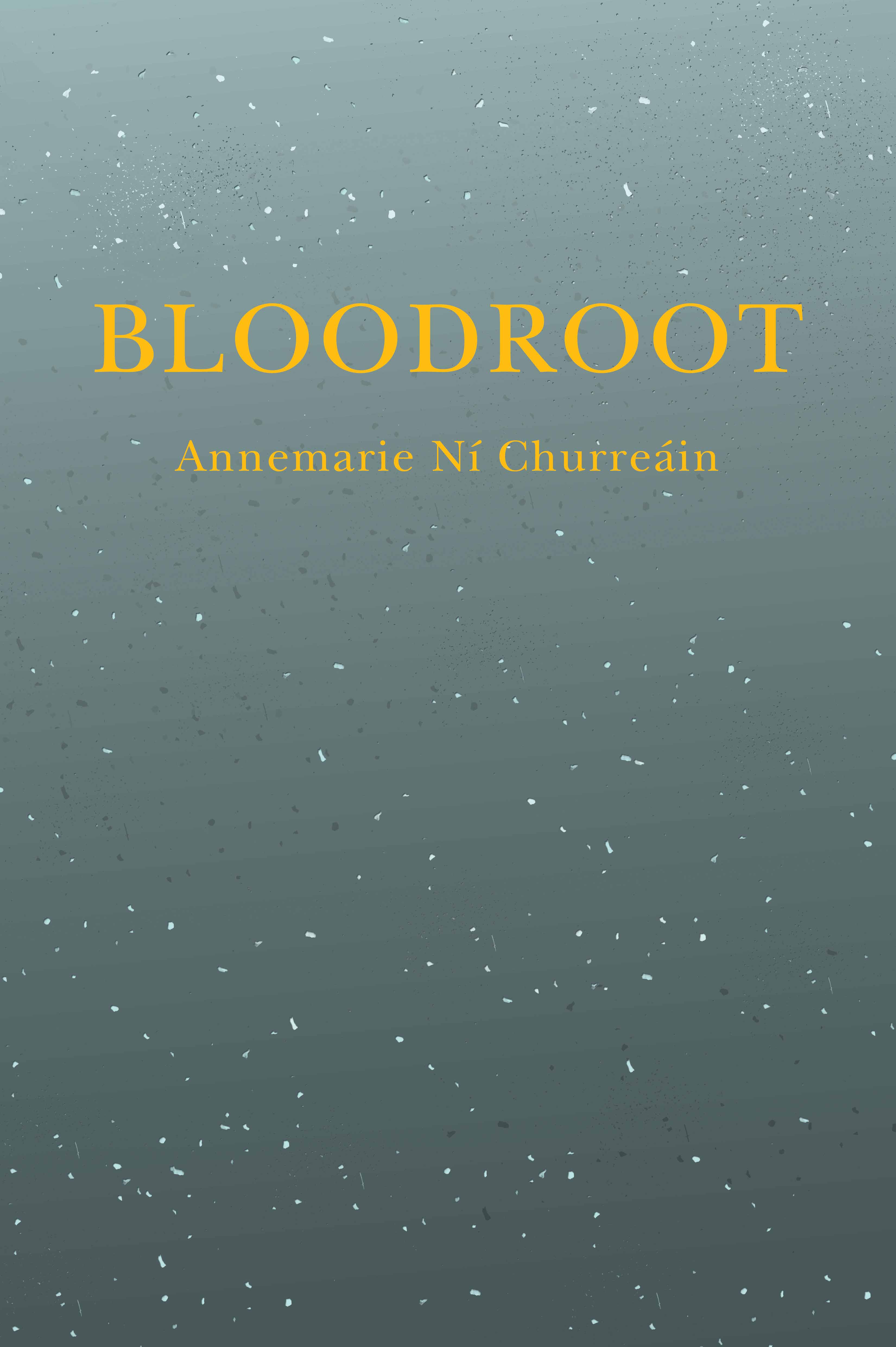 bloodroot-cover-final-w