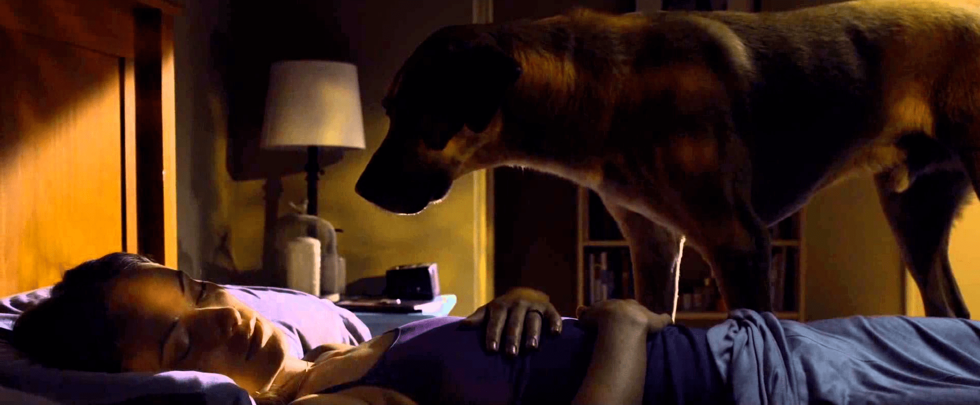 The Lazarus Effect 2.png