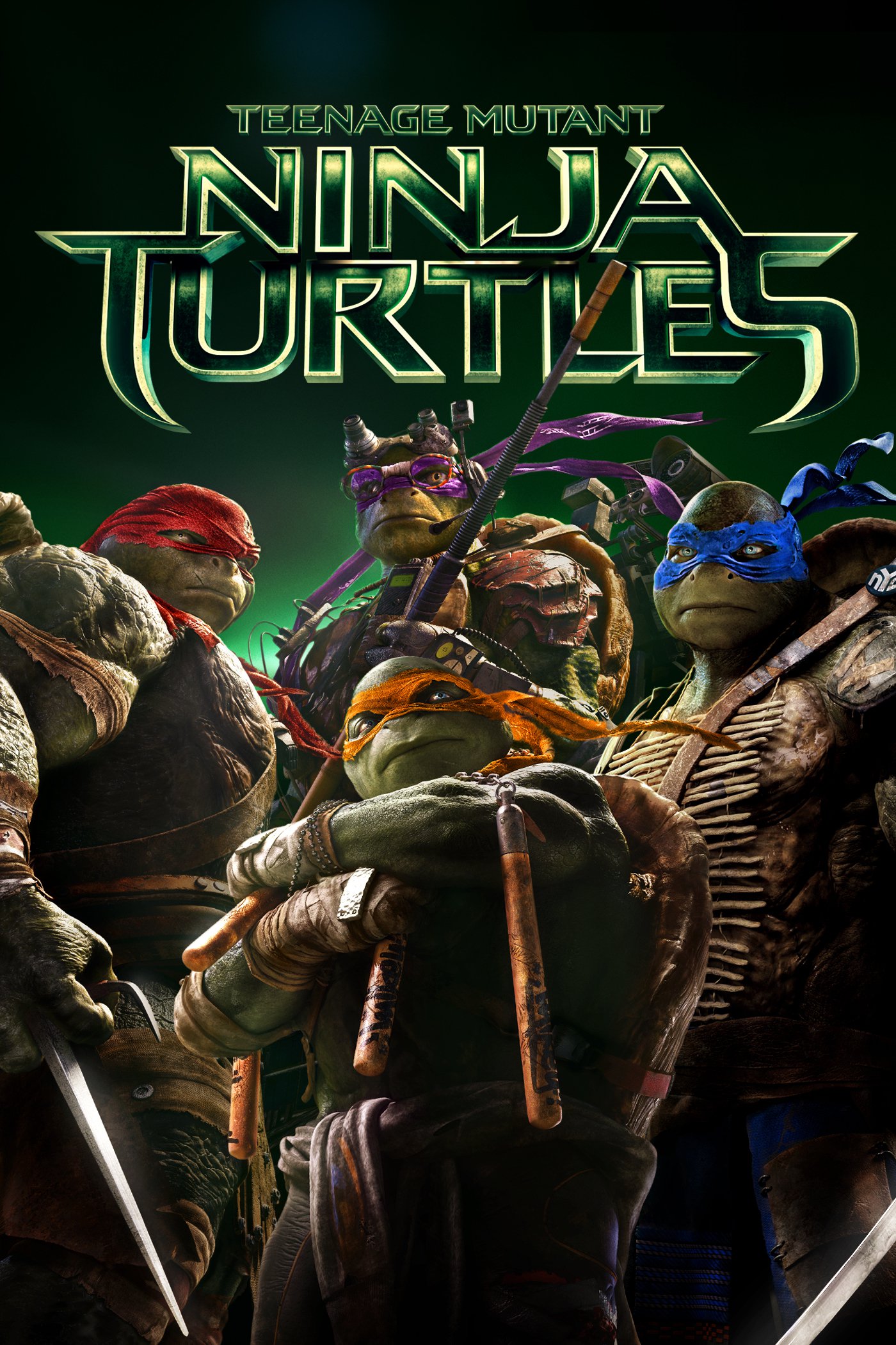 Turtles2-2