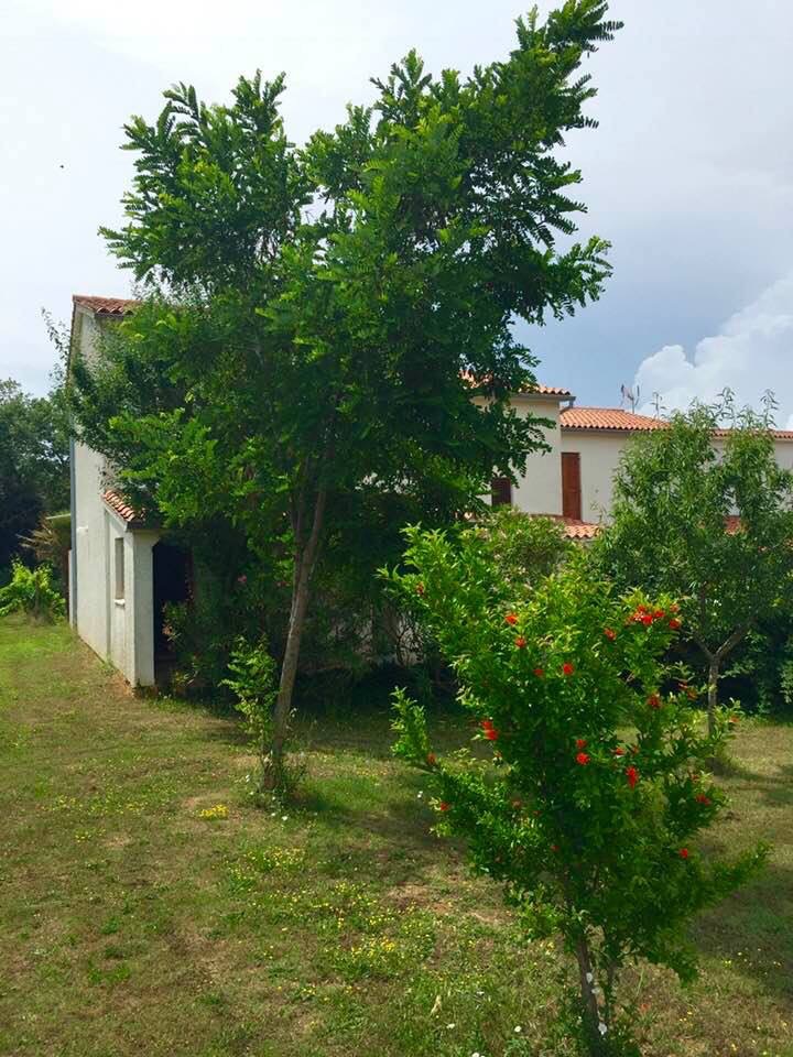 Zvona i nari writers residency