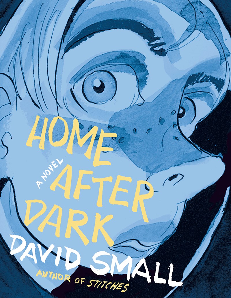 David Small Home After Dark