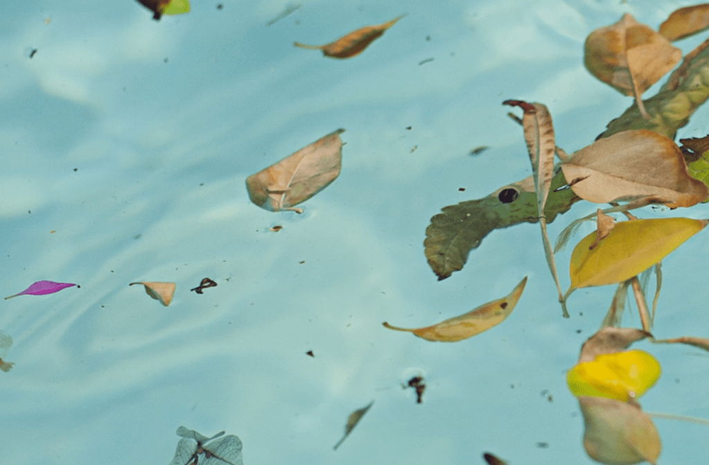 582: Andrew Porter, interviewed by David James&nbsp;Poissant!