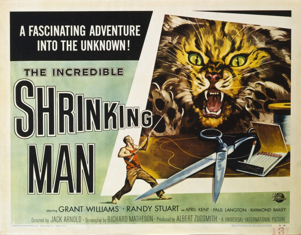 101 Horror Movie Nights