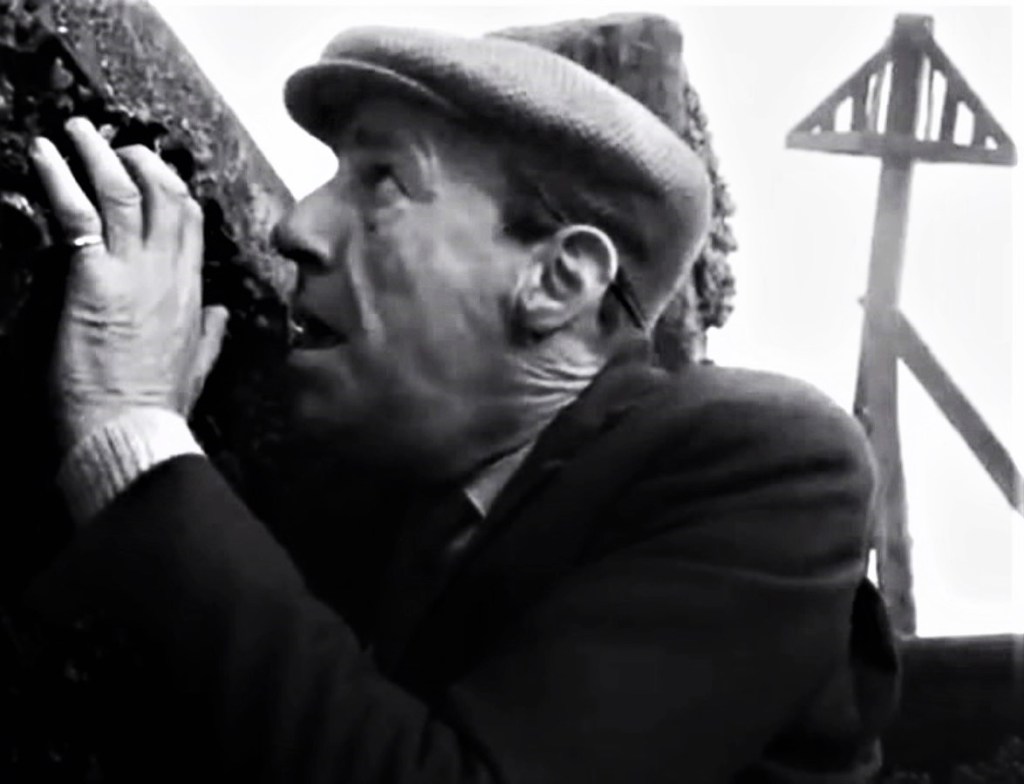 101 Horror Movie&nbsp;Nights